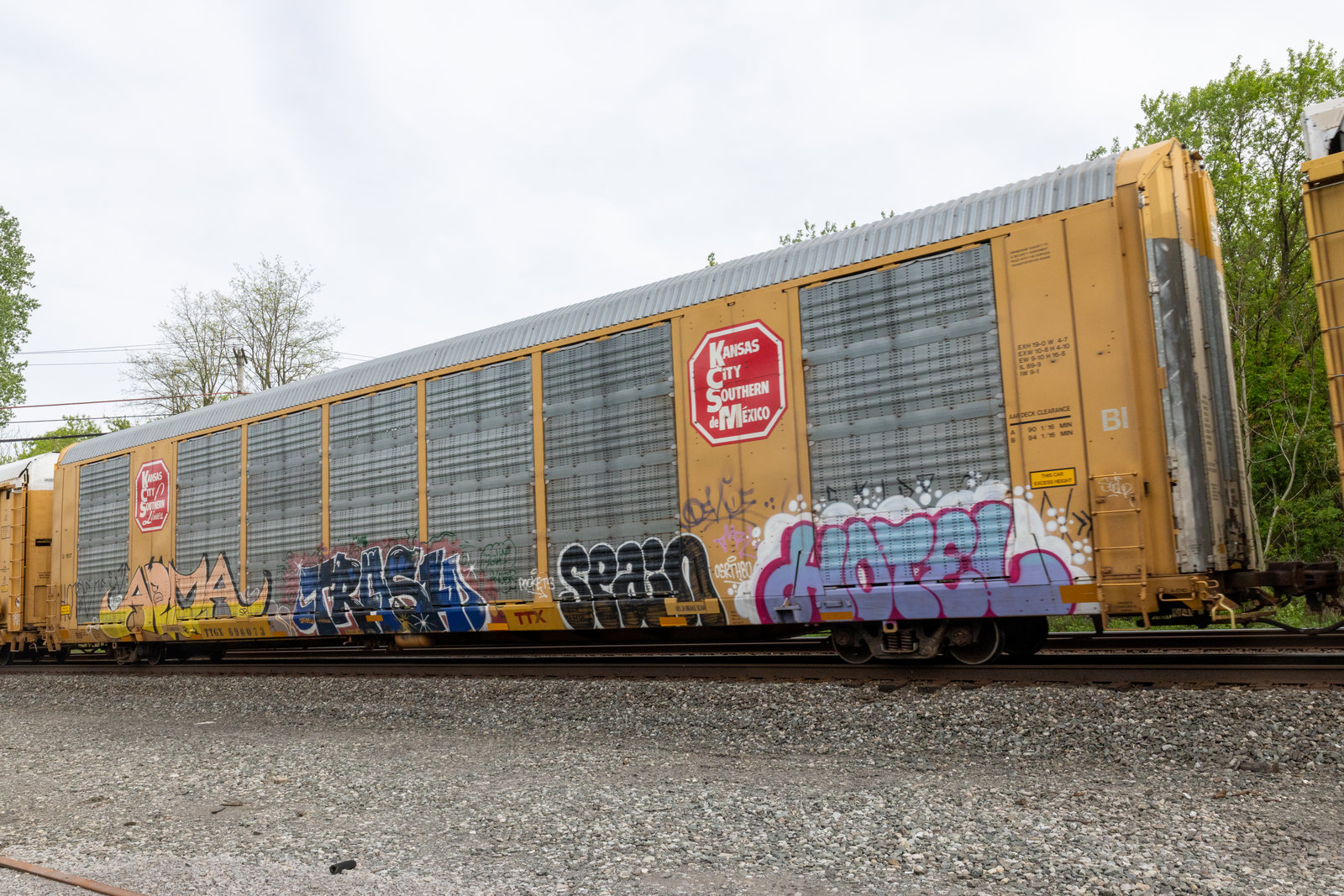 TTGX 696073