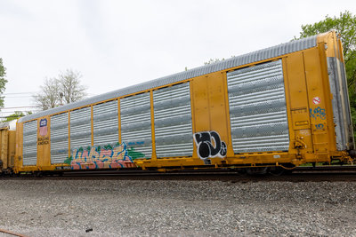 TTGX 699524