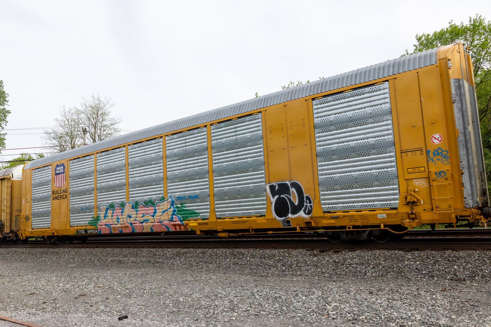 TTGX 699524