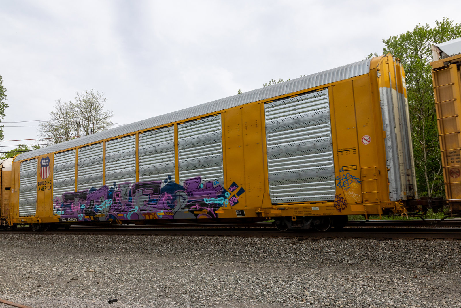 TTGX 823485