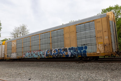 TTGX 694413