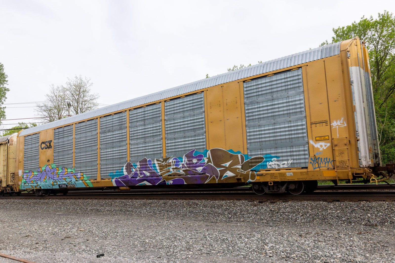 TTGX 699692