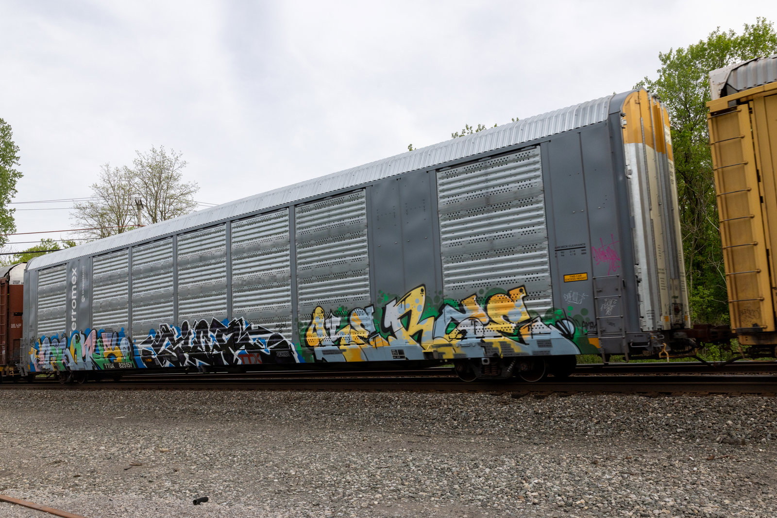TTGX 825157