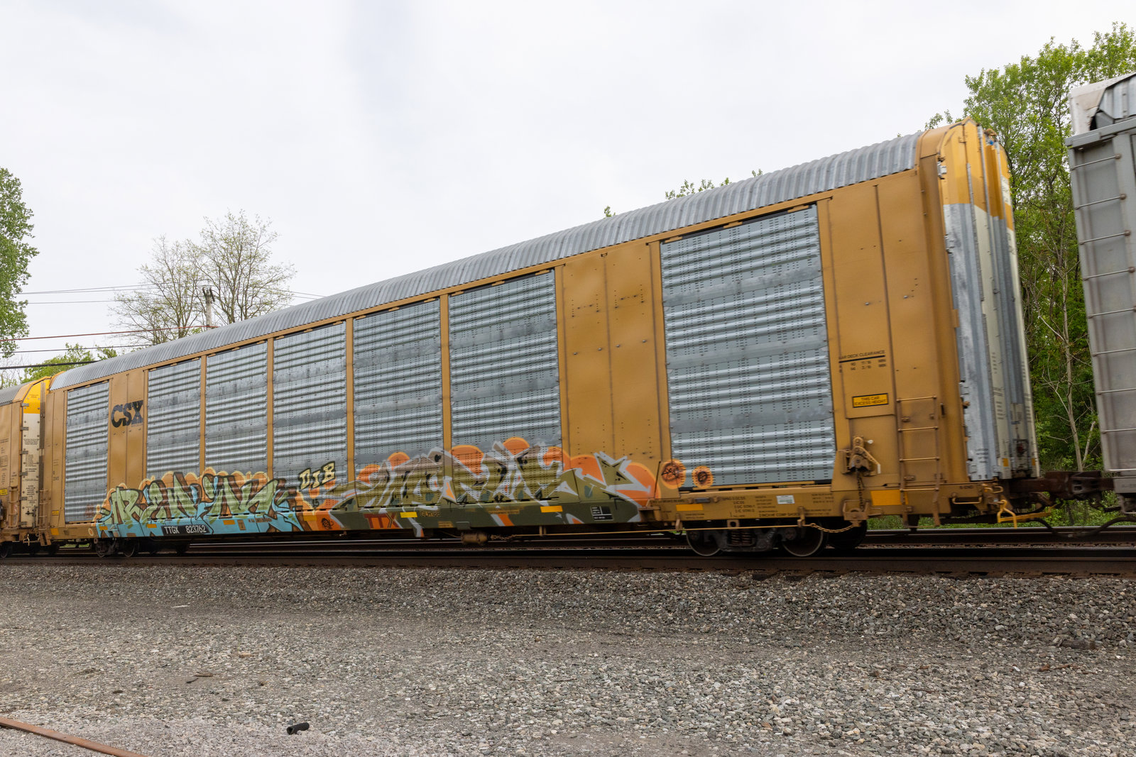 TTGX 823762