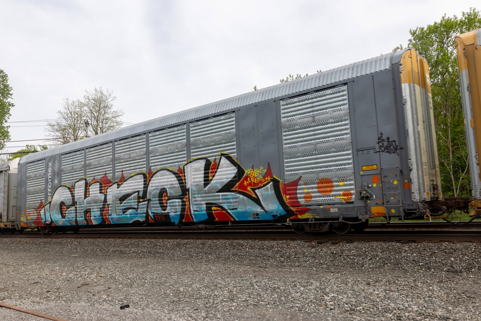 TTGX 825318