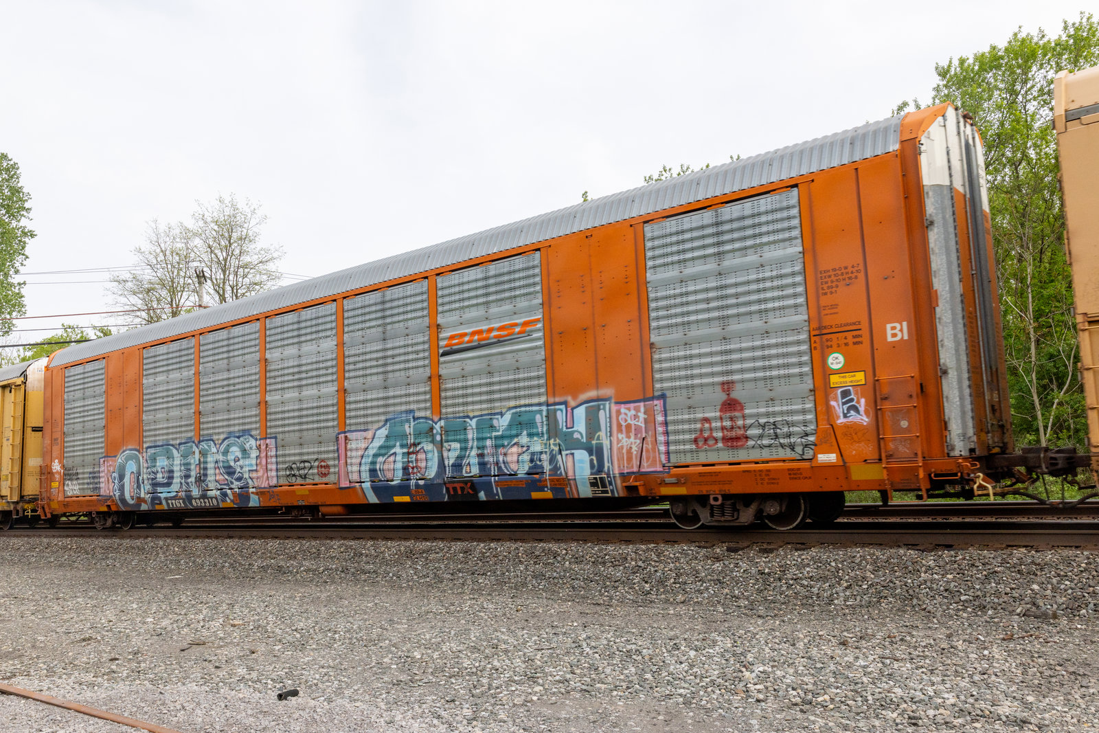 TTGX 693310