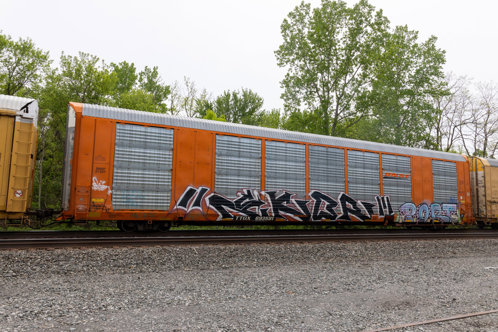 TTGX 693591