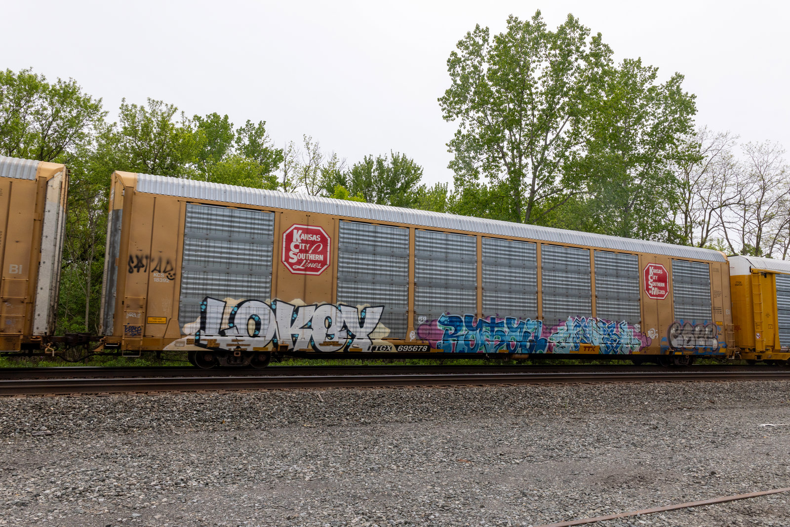 TTGX 695678