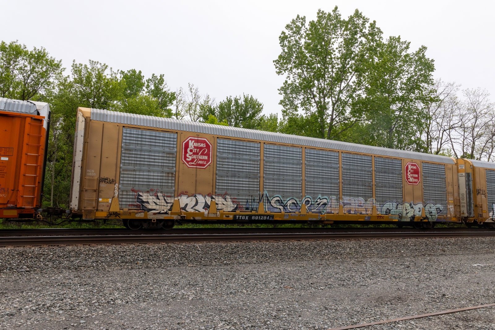 TTGX 691284