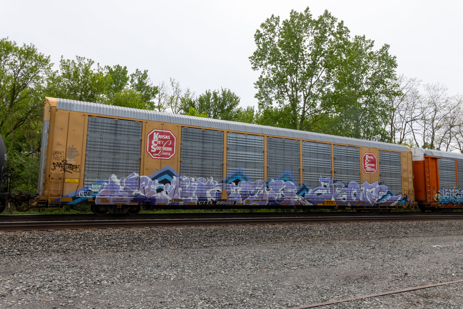 CTTX 695093
