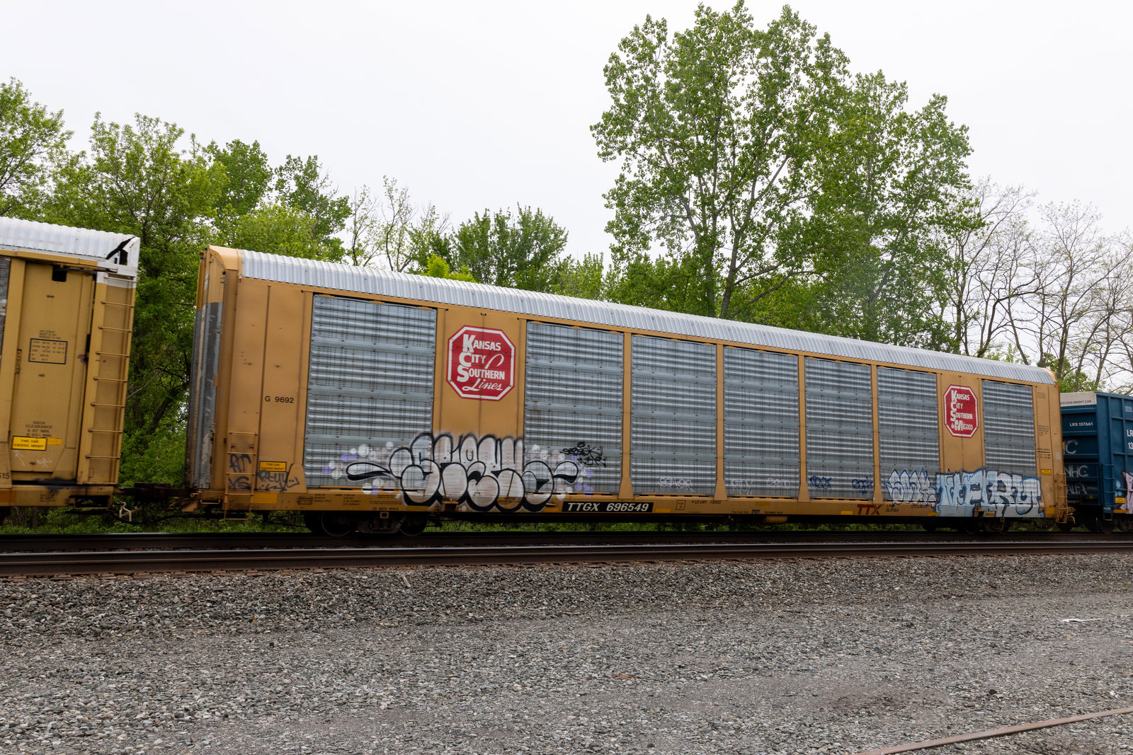 TTGX 696549