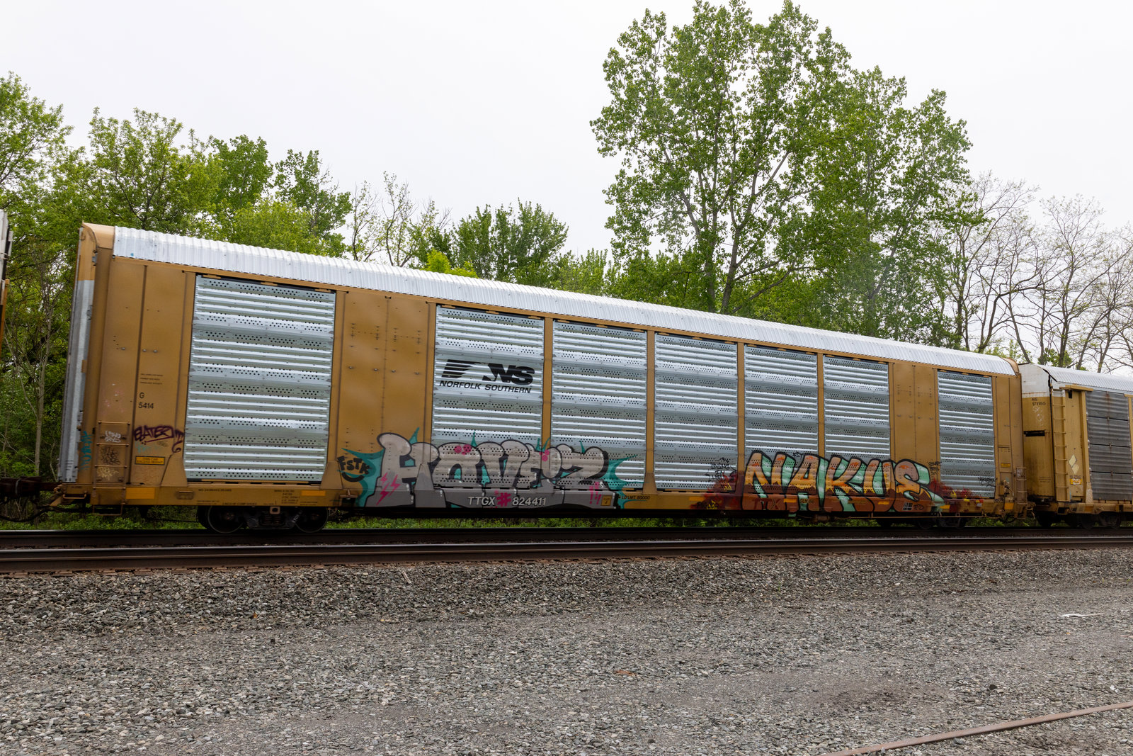 TTGX 824411