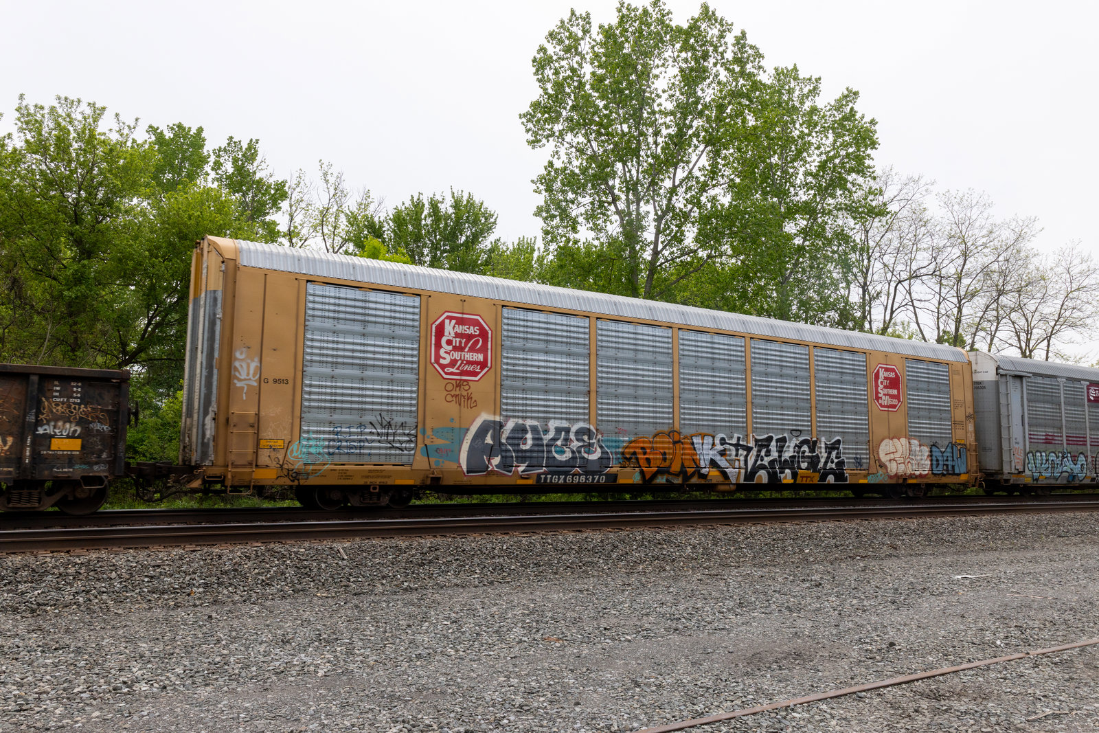 TTGX 696370