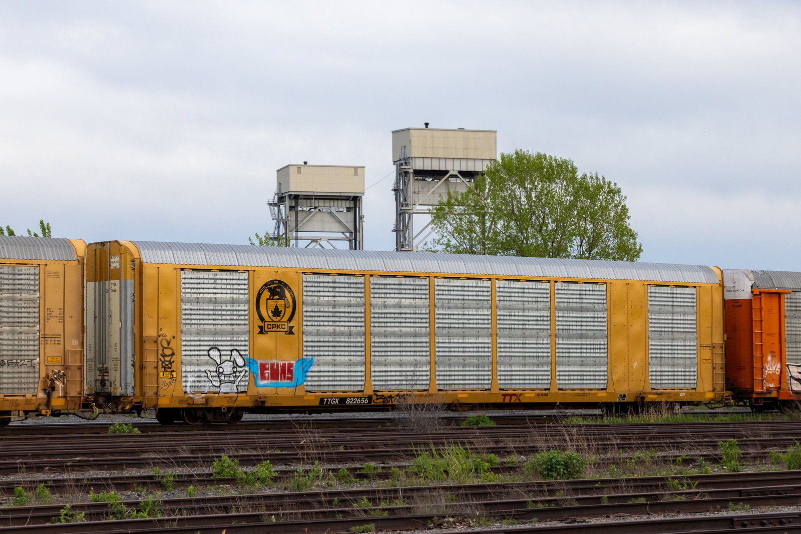 TTGX 822656