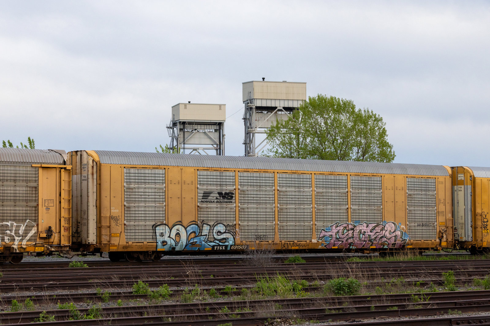 TTGX 691503