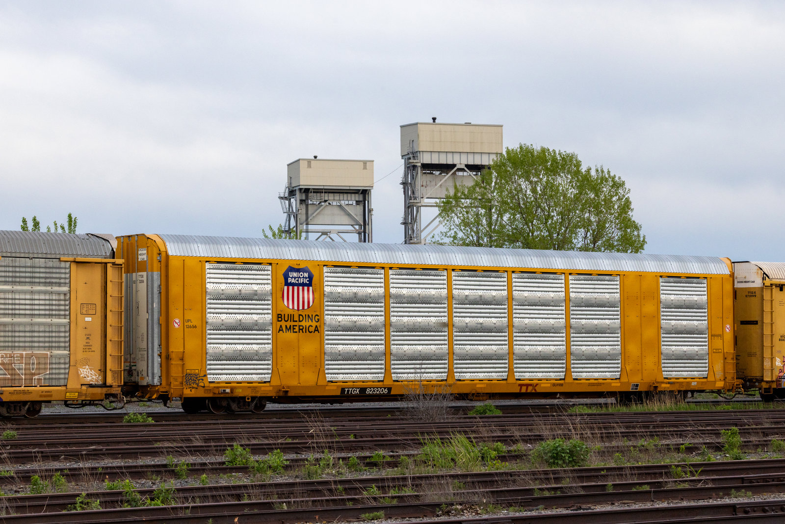 TTGX 823206