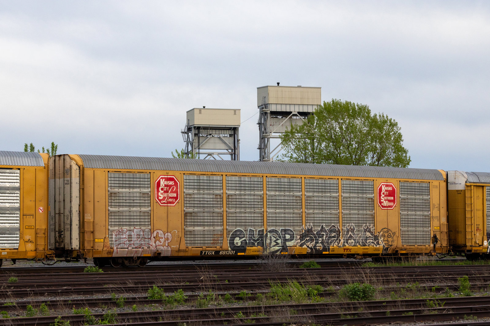 TTGX 691301