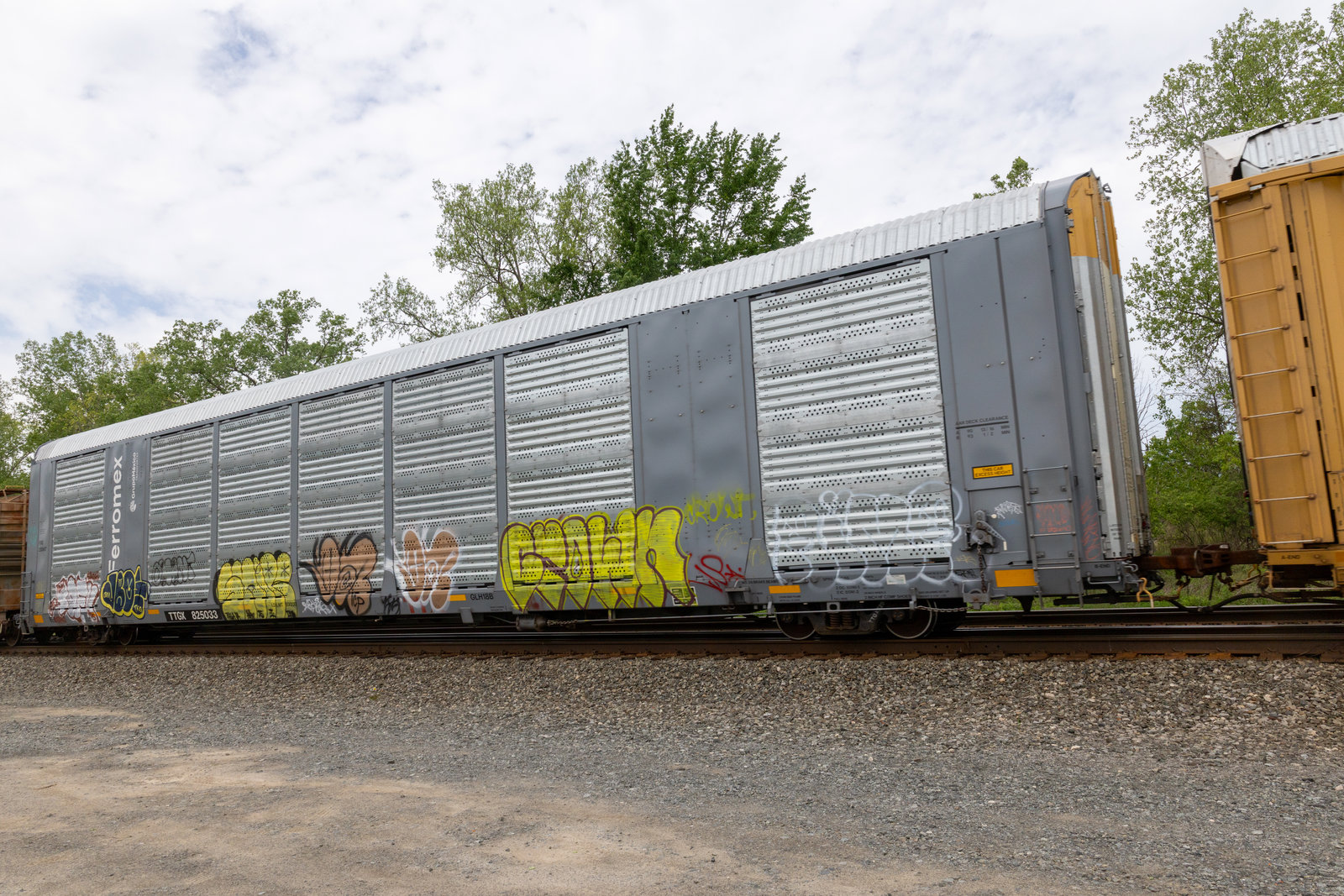 TTGX 825033