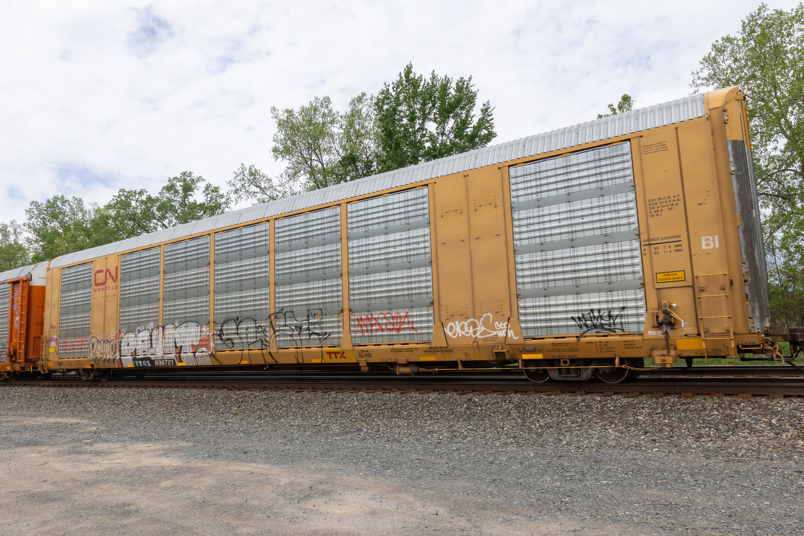 TTGX 696721