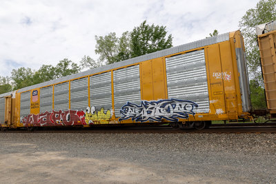 TTGX 699686
