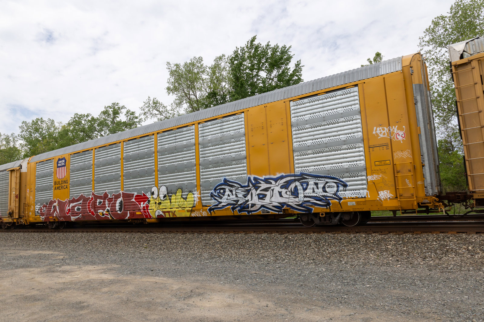 TTGX 699686