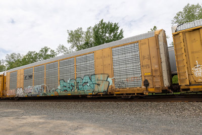 TTGX 691561