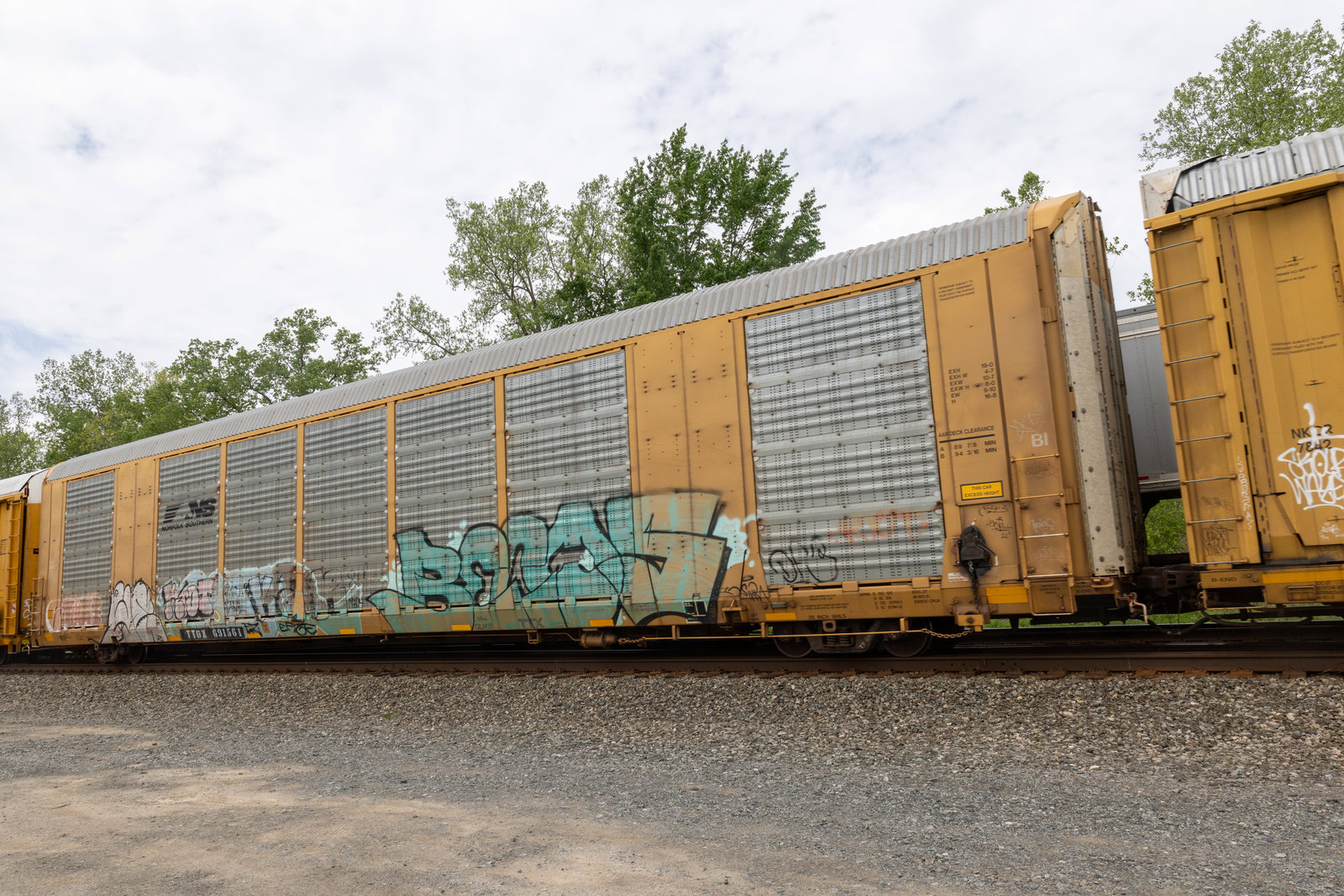 TTGX 691561