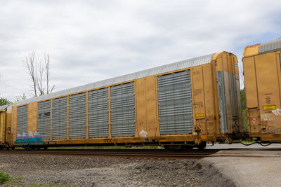 TTGX 698084