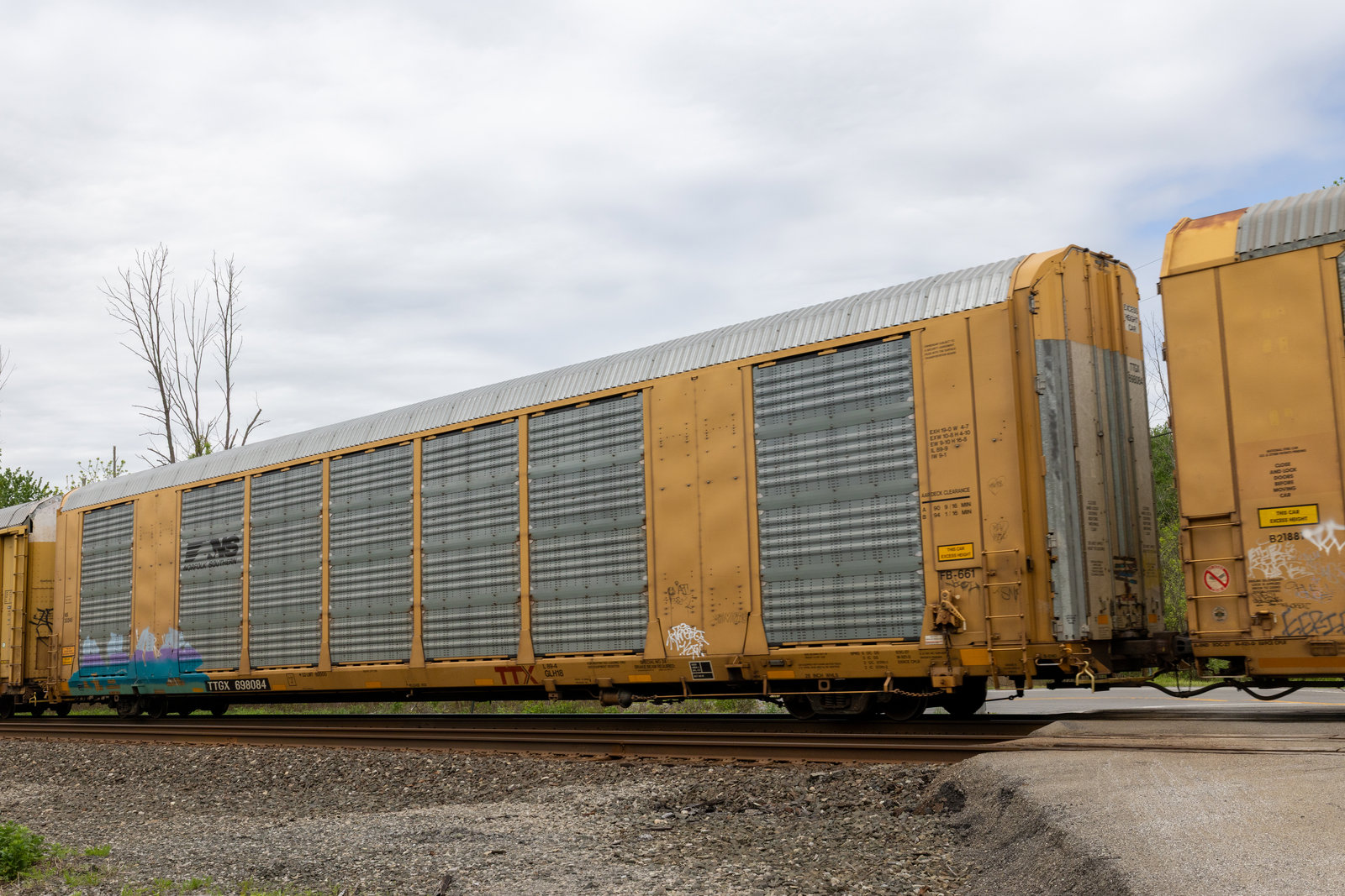 TTGX 698084