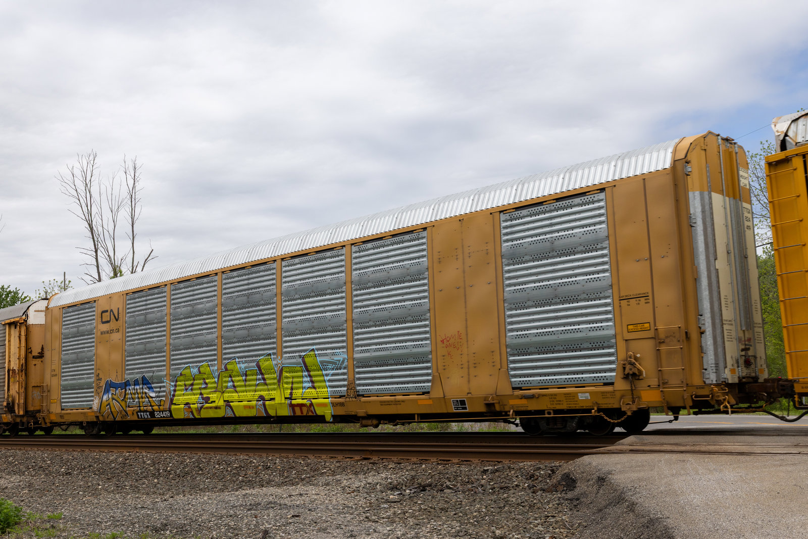 TTGX 824419