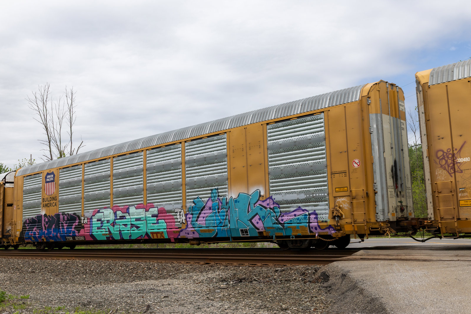 TTGX 821280
