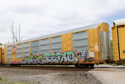 TTGX 821535