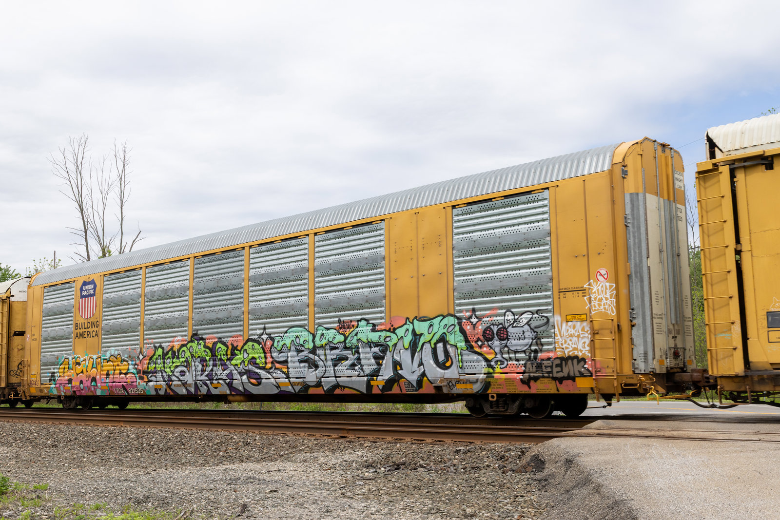 TTGX 821535
