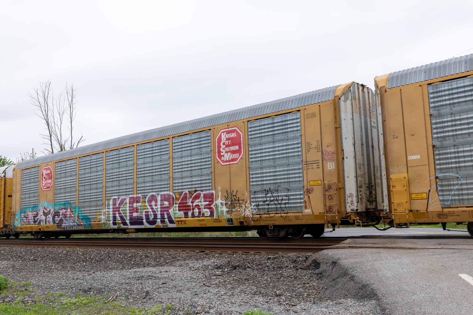 TTGX 692882