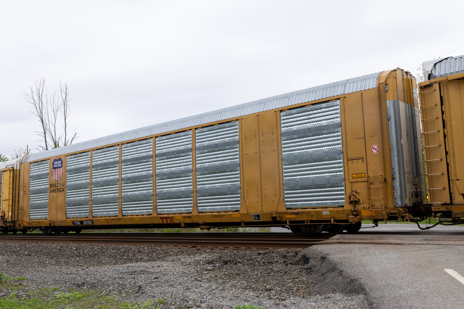 TTGX 821158