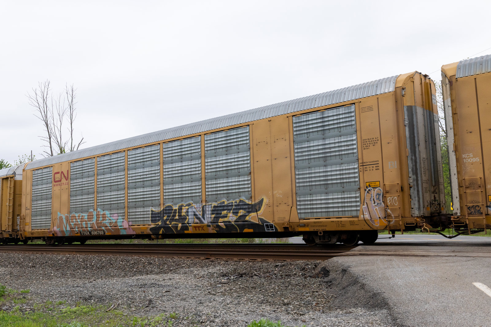 TTGX 696769