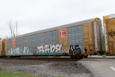 TTGX 692869