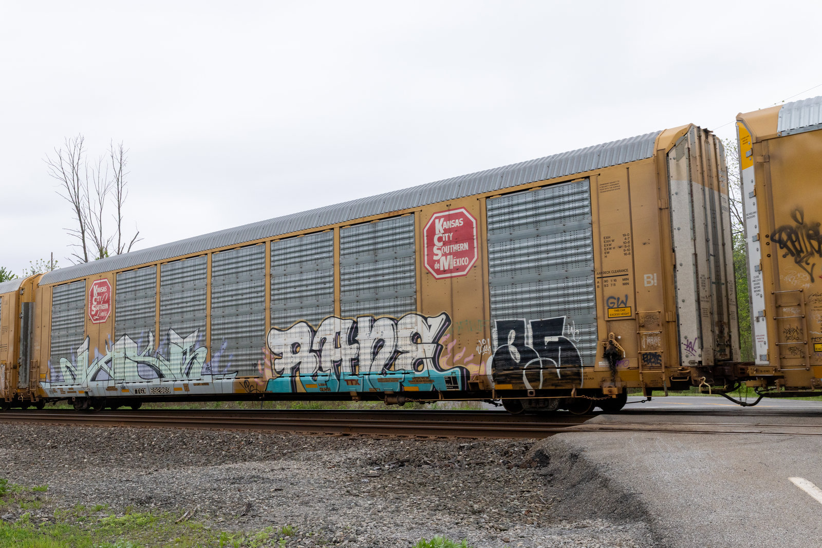 TTGX 692869