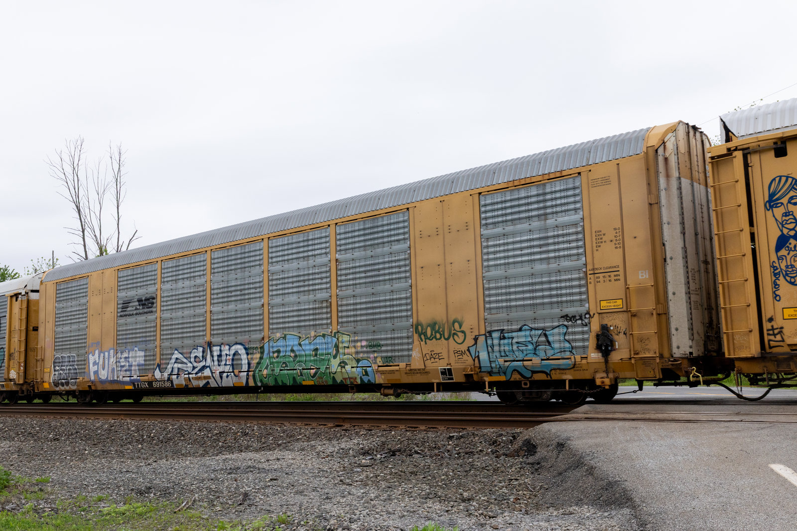 TTGX 691586