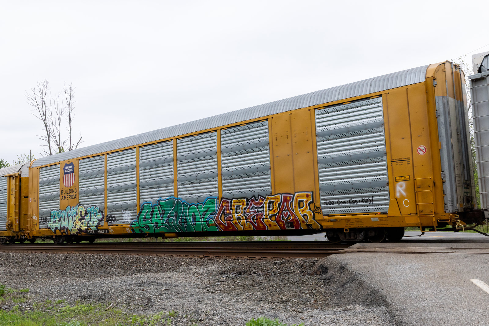 TTGX 698777