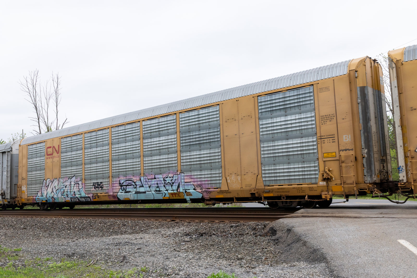TTGX 696719