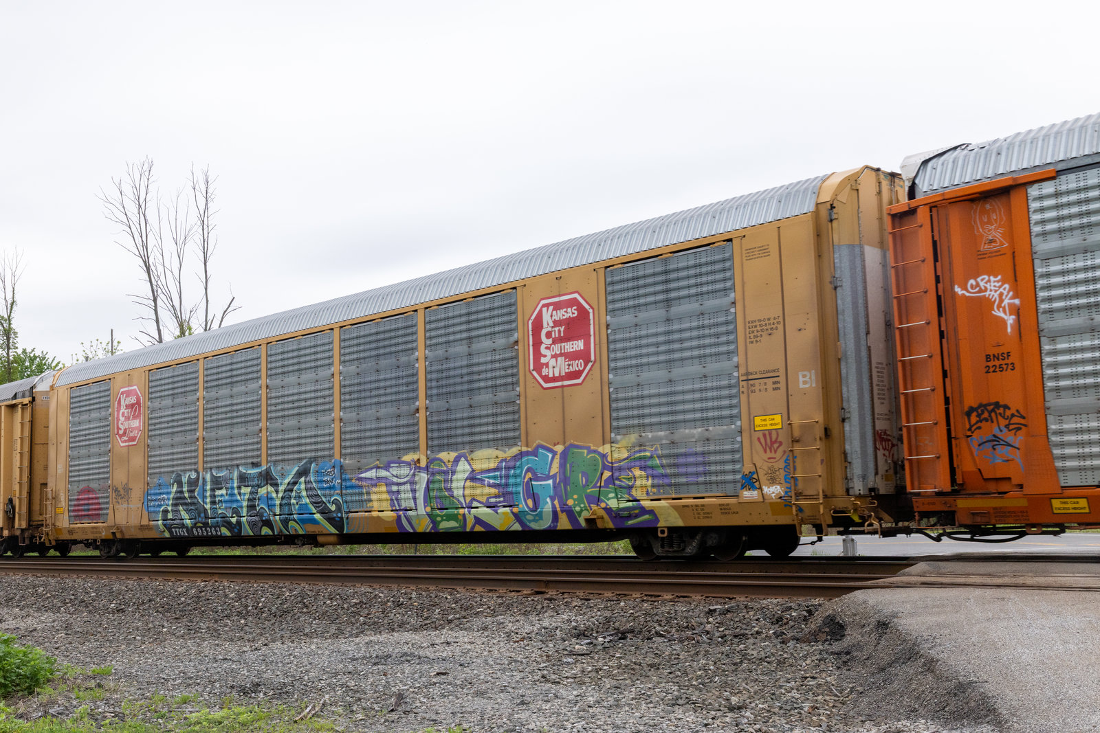 TTGX 695263