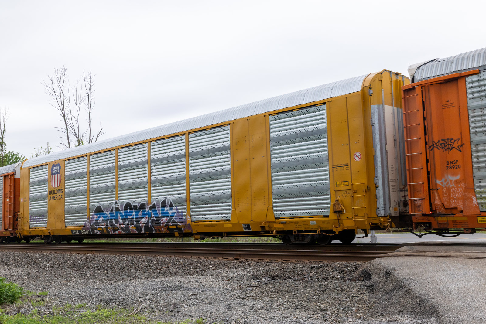 TTGX 823197
