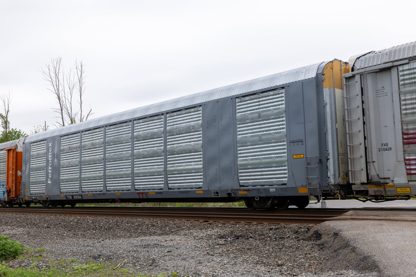 TTGX 825356