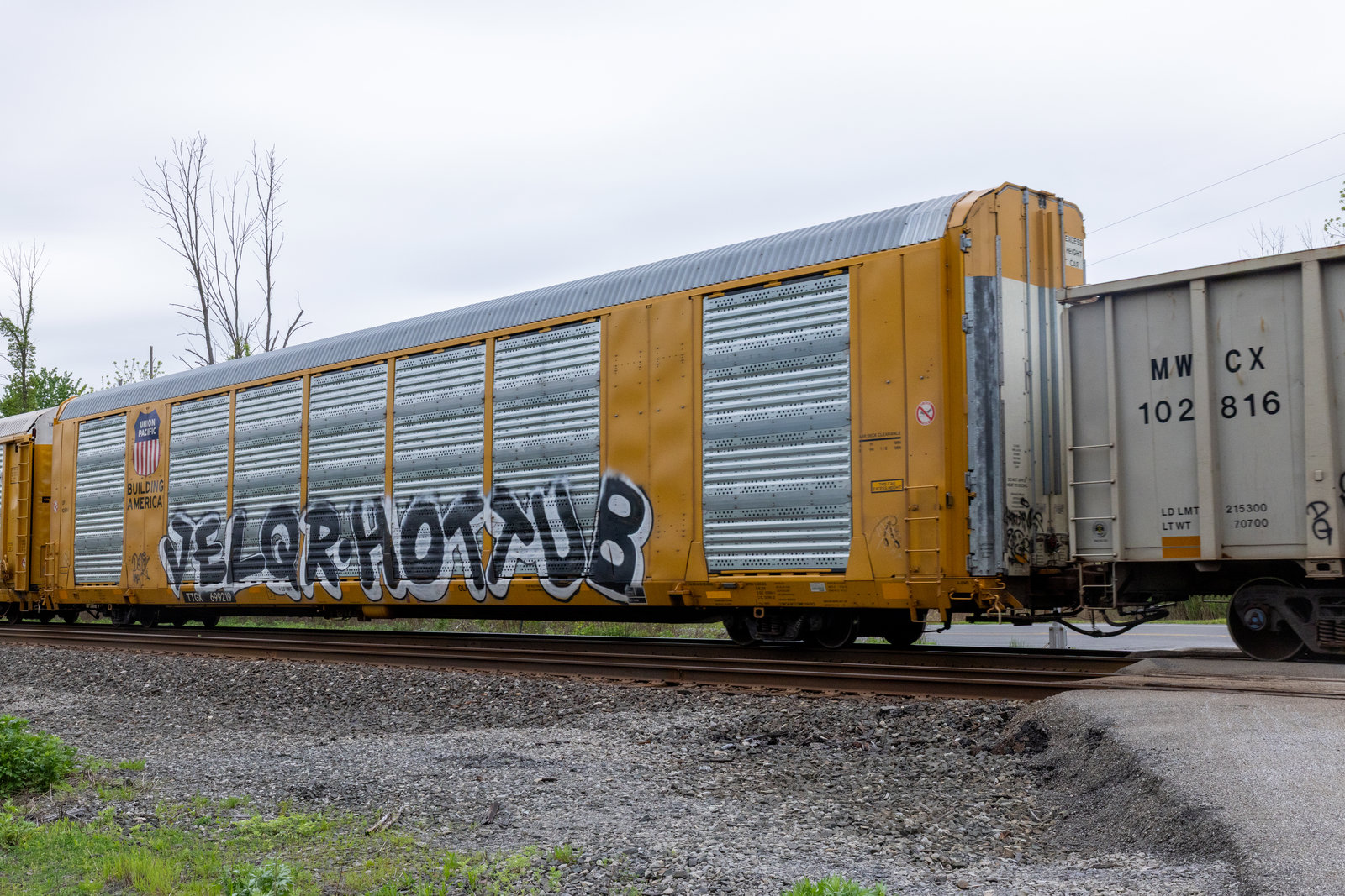 TTGX 699219
