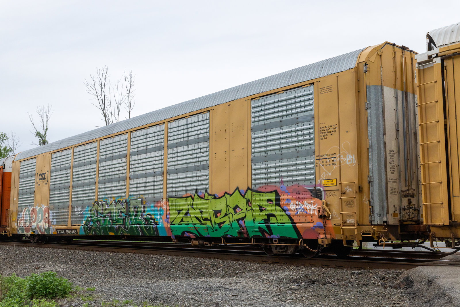 TTGX 695455
