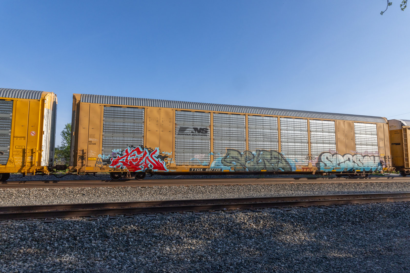 TTGX 697725