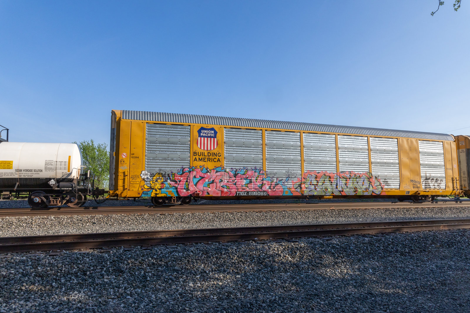 TTGX 699069