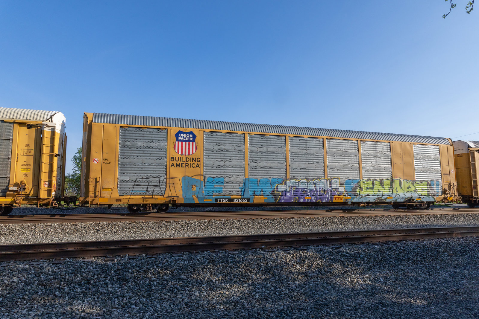 TTGX 821662