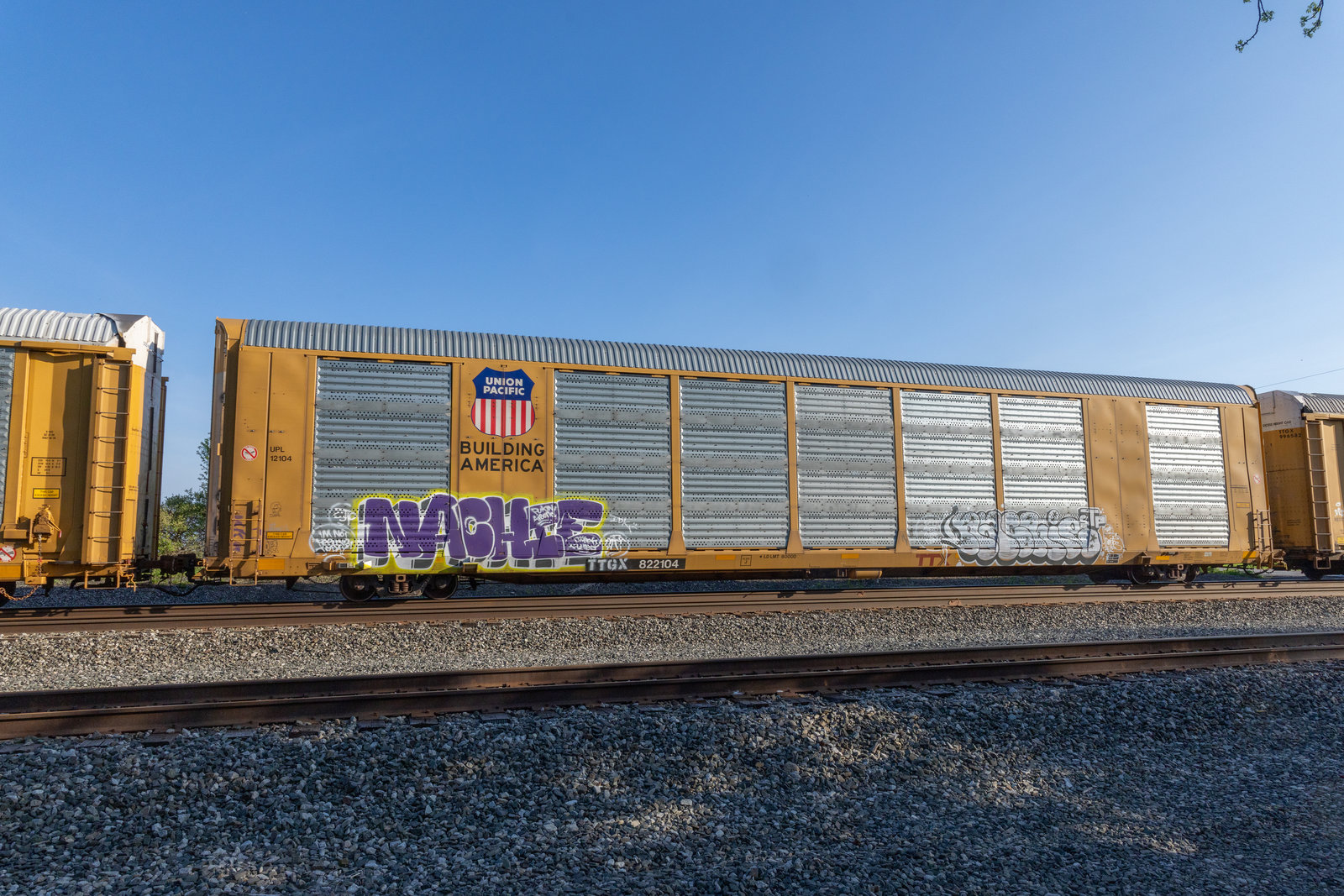 TTGX 822104